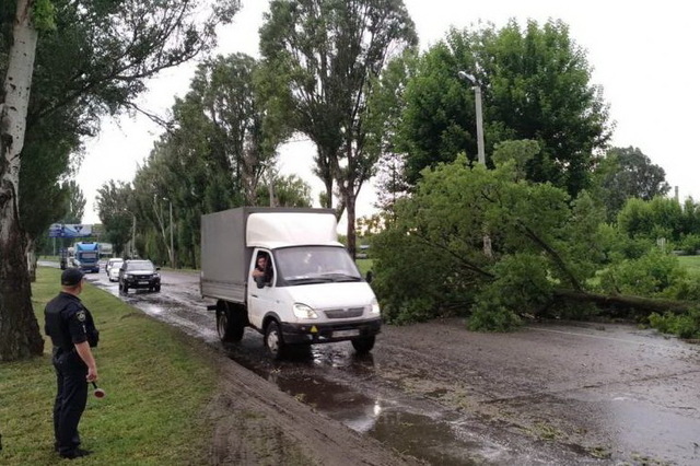 ������� ������ ������������ ����� � ���������