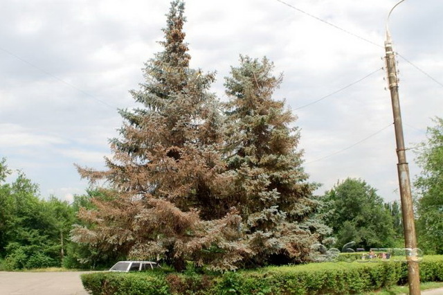 � ��������� �� �/� ���������� ������� ���������� ���������� ����������� ���