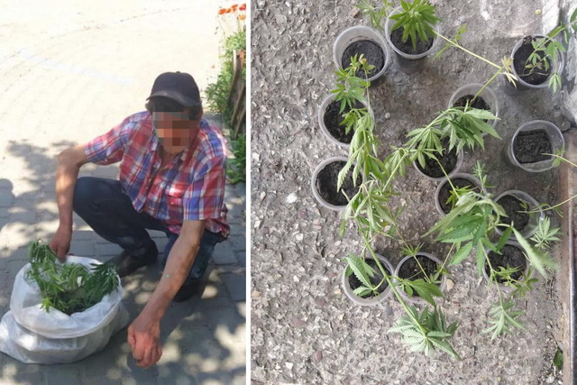 Полицейские нашли у днепрян амфетамин и коноплю