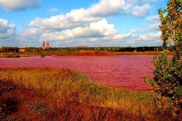 На Днепропетровщине есть удивительные розовые озера