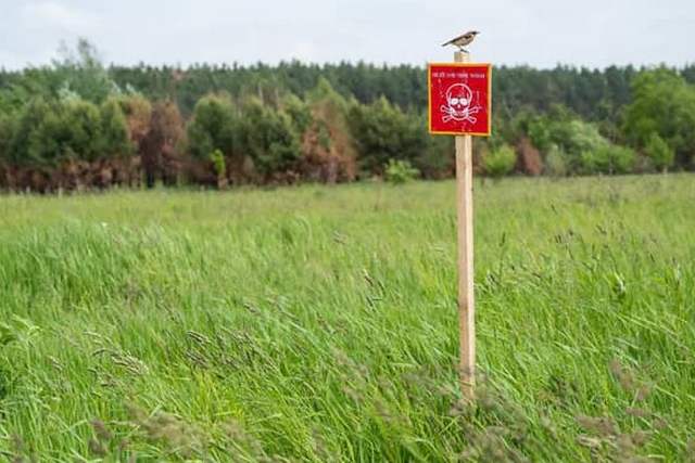 Уряд розширив можливості подання заяв до Реєстру збитків - можна буде отримати компенсацію за розмінування