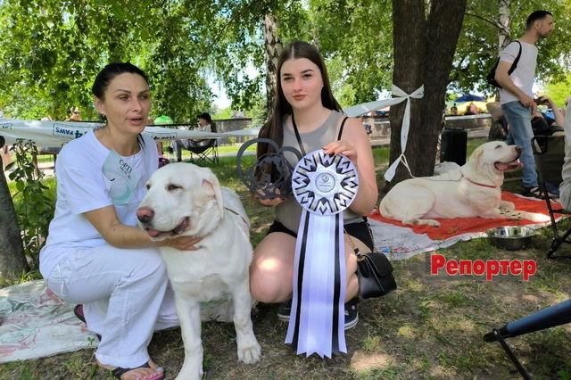 Всеукраїнська виставка собак відбулася у Кам'янському