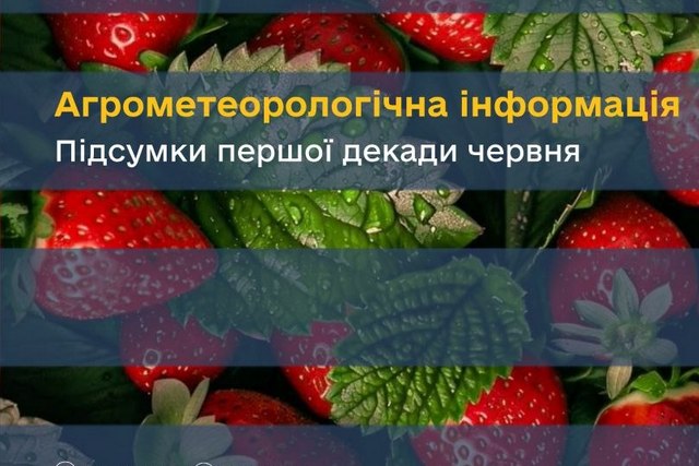 Огляд агрометеорологічних умов першої декади червня на Дніпропетровщині