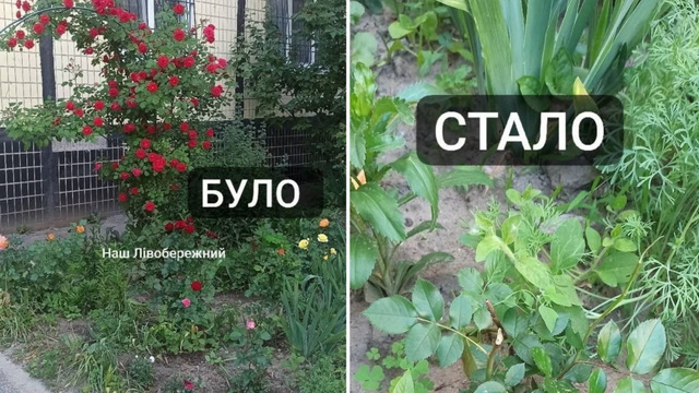 Жителі Дніпра скаржаться на підлітків-вандалів, які знищили трояндову клумбу