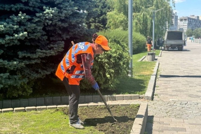 У Дніпрі на догляд за деревами, газонами та квітниками планують витратити понад 55 млн гривень