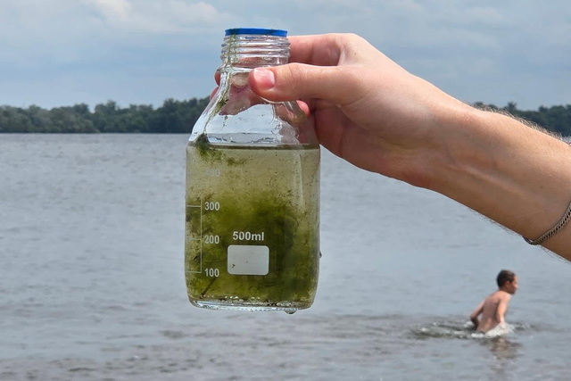 У річці Дніпро вже з'явилися ознаки «цвітіння» води
