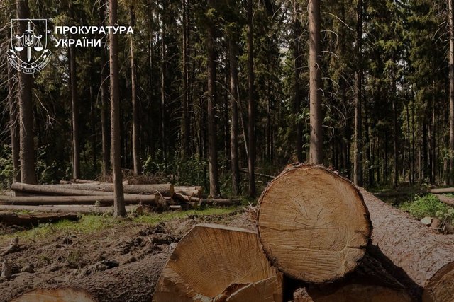 На Дніпропетровщині прокуратура через суд стягнула з лісгоспу майже 800 тисяч гривень