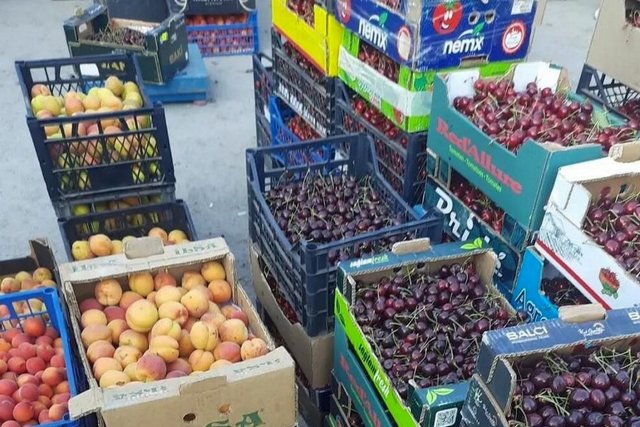 Черешня по 50 грн/кг, огірки — 30: які ціни на ранковому гуртовому ринку біля «Озерки» у Дніпрі