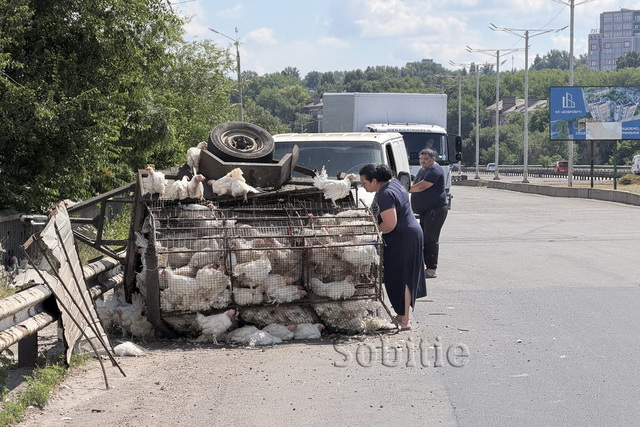 В Каменском на мосту перевернулся прицеп: погибли около 10 кур