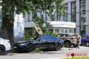 � ������ ����� �������� �������� ����� ����� �� Audi � Kia: � �������, ����� �� ������