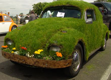 ���: �������� 