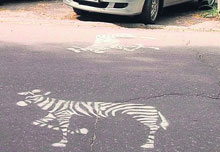 �� ������ ����� ��������� �����