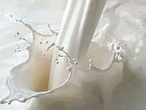 � ������� ����� 19% �������� ��������� �� ������������� ����������� ����������� ����������