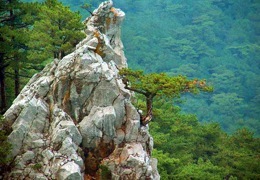 ��������������� ������� �� ���� � � �����