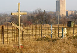 ������������ ����������������� ������������ ����������� ����������� ������ �������� ���������