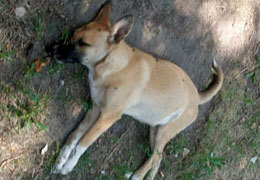 �������� ���������� ����� �� ���������� 9-� ��������