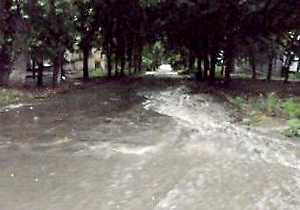 ��� ������� ������������ ������