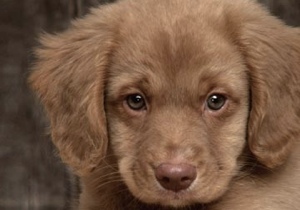 � ������� ������ ���������� ������� ���������� �����