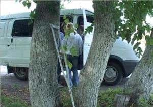 �� ��������� �� ������������ �������������� ������ �� ���� ��� ������