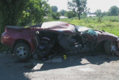 В Днепропетровской области при столкновении автомобиля с деревом погиб человек