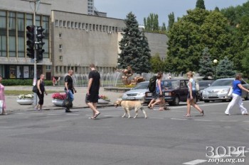 10 самых опасных перекрестков Днепропетровска. Рейтинг