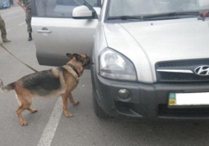 ������ ��������������� ������� ����� �� ������ � ����