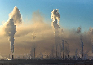 � ���������������� ����������� ��������� ������ �� �������������� �������