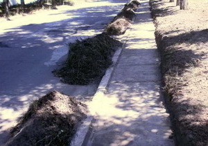 ������������ ����������� ��������������� �������� ��������