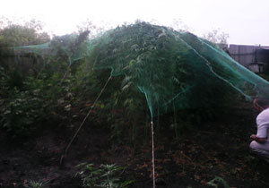 ����������� ������ ��������� �� ������� ������