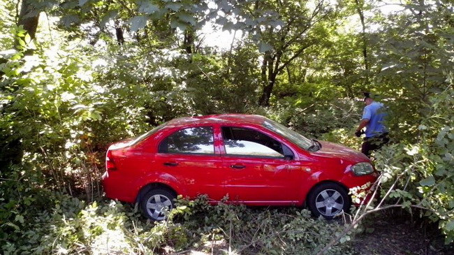 �� ������ ���������-����� ������������ � ������ � �����  ����������