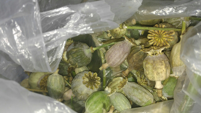 ����������� ��������������� ����������������� ���������� �������� ���ʻ