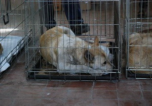 � ��������� ���������� ���������� ������������ ��������� ��������