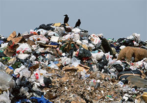 � ��������� ��������� ������ ������� ������� ������� ��������� �� ������ �� ����������