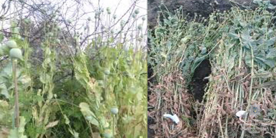 �� ���������������� ��������� ������� ��������� � 12700 ������ ������� ����