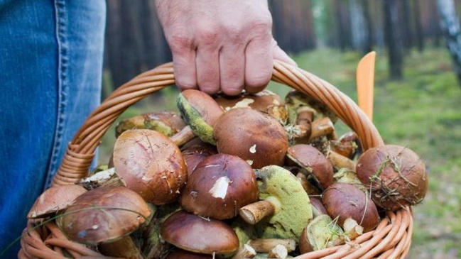 � ���'�������� ������ �������� ����������� �������