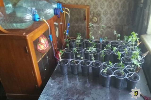 �� ���������������� ������������� ������� �������, ���� � ������� ������� ��������� ������