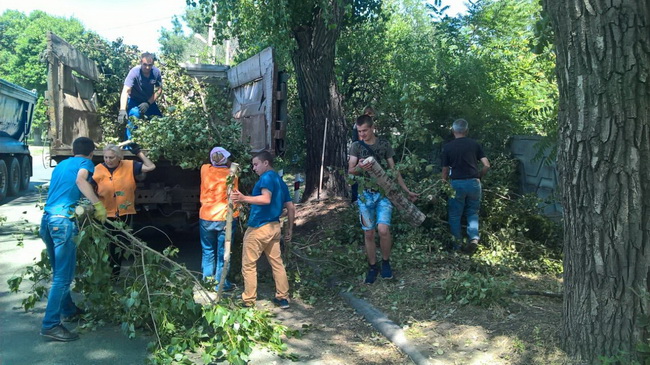 � ����� ������ ���������� ����������� ����������� �������