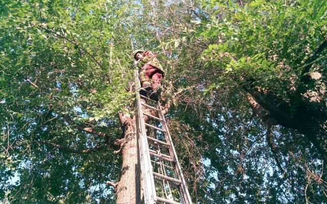 � ������ ��������� ������� �������, ���� ��� � ������