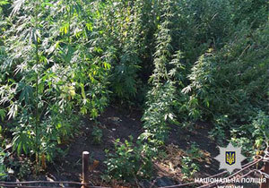 ��������� ���������� �������� � ������ �������� ����������� ��������� �� ��������