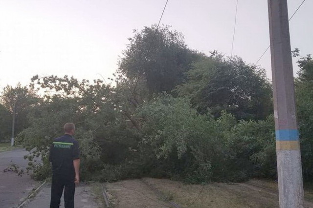 В Каменском упавшее дерево заблокировало выезд всех трамваев города из депо накануне утреннего часа пик
