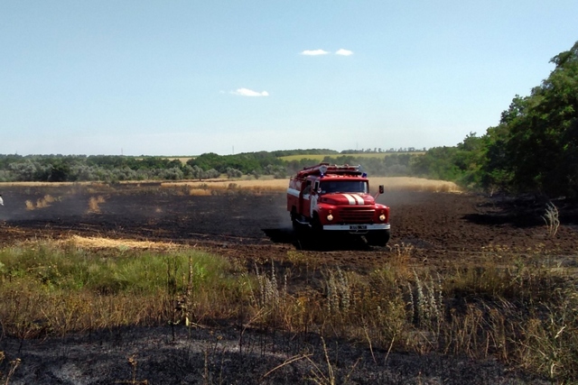 В Днепропетровской области ликвидировали возгорание на поле с пшеницей