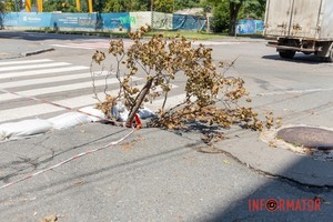 � ����� �� ����� ���� � ������� ���������� ������� ���