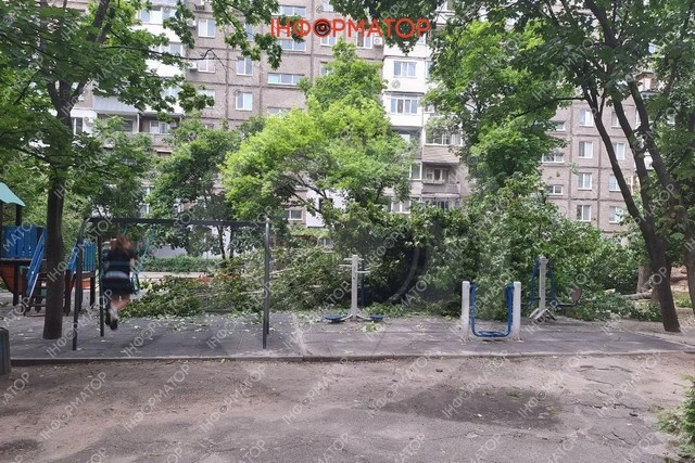 Днепре на Победе огромное дерево упало на детскую площадку и зацепило авто