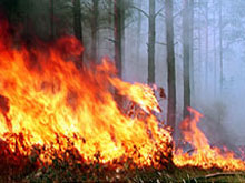 � ������ ���� ���� ��