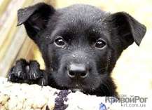 ������ ��� ��������� �������� � ������ ���� ����!