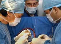 ���������������� �������-������������ ������� ���������� ����������� �������������� ����������