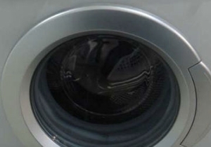 � ������ ���� 14-������ ��������� ������� �� ����� �����