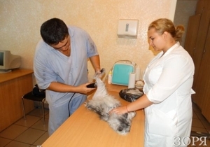 ����� ������� �������� ������������, ��� � ��� �����