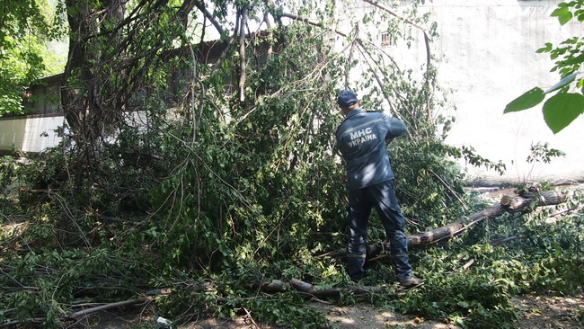 ����������������� ��������� ������ ���������� �������