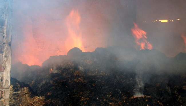 ��������� ������������� ���������� ���� �������� 200 ���������� ������